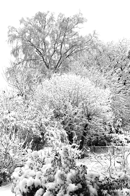 Wintergarten